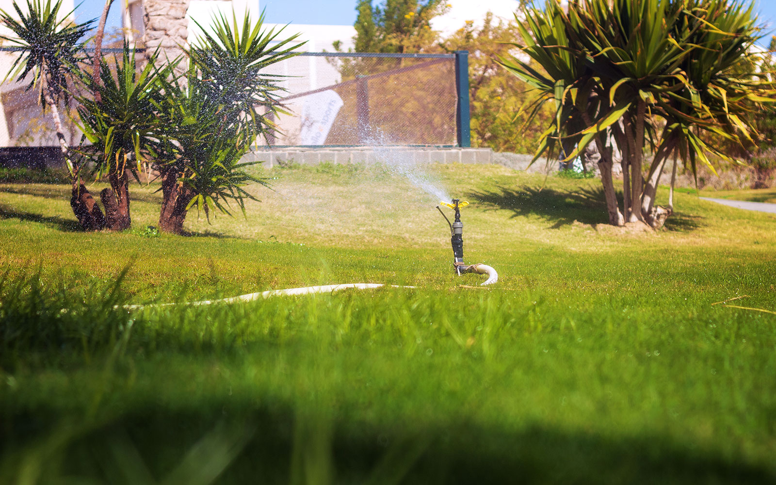 Giardiniere e Giardaggio a Montelupo Fiorentino - Ideanatura