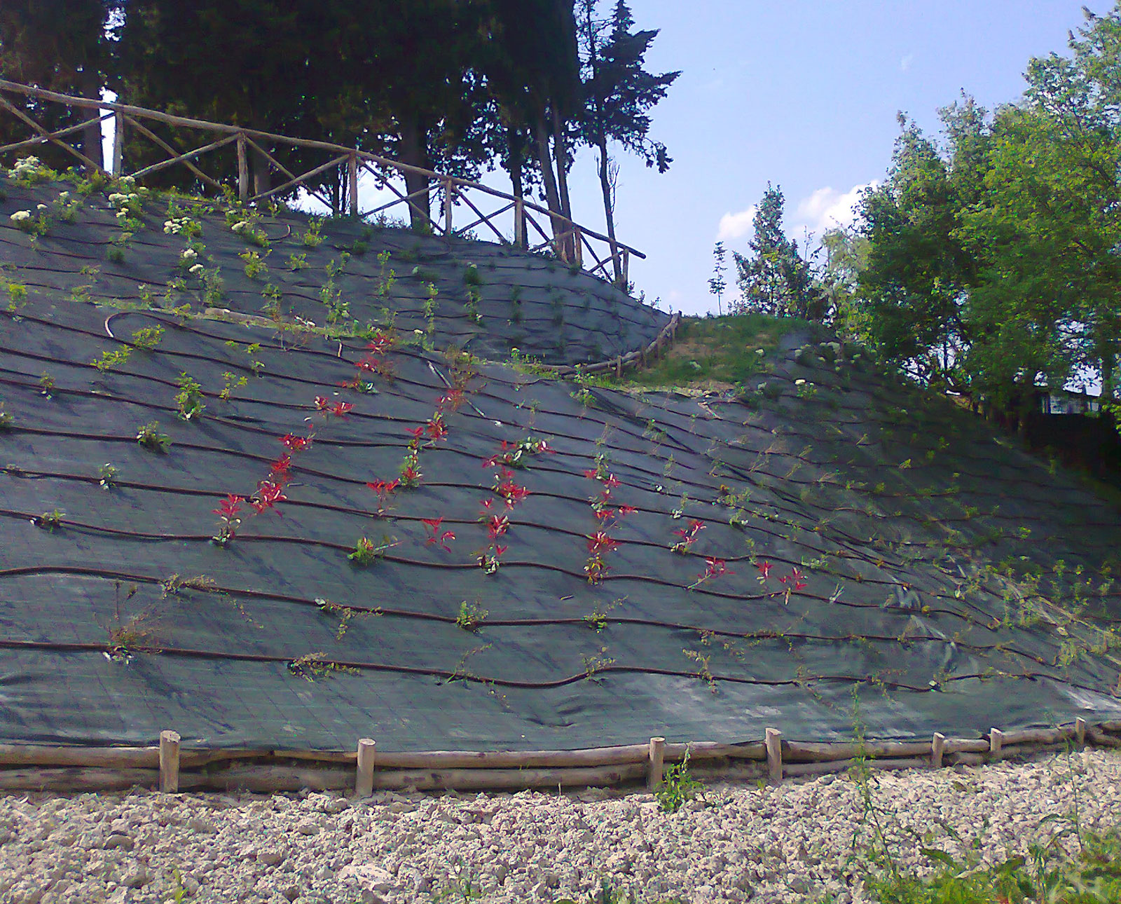 Realizzazione Muretti e Palizzate Per Giardini, Terreni - Ideanatura Realizzazione Muretti e Palizzate Per Giardini, Terreni - Ideanatura
